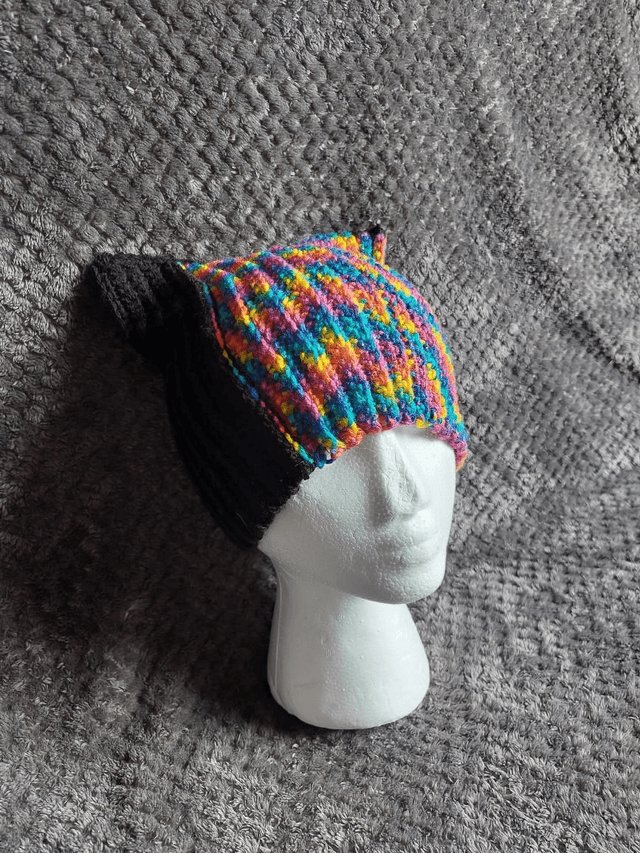Cat Ear Beanie