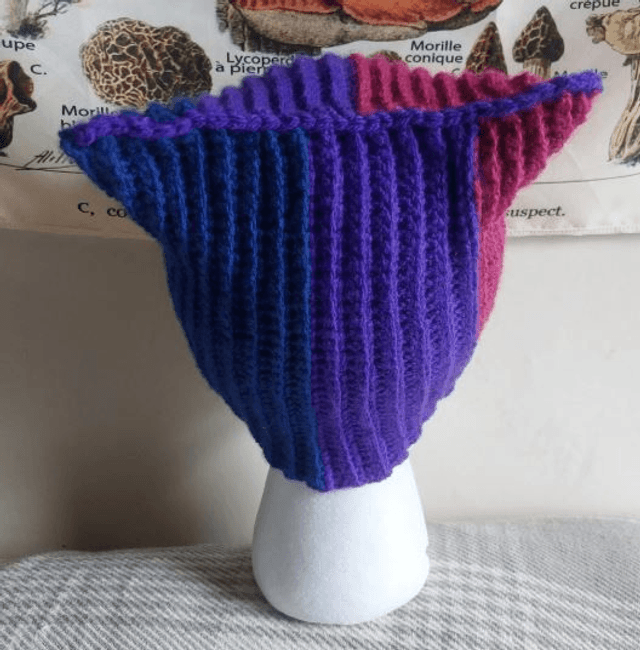 Cat Ear Beanie